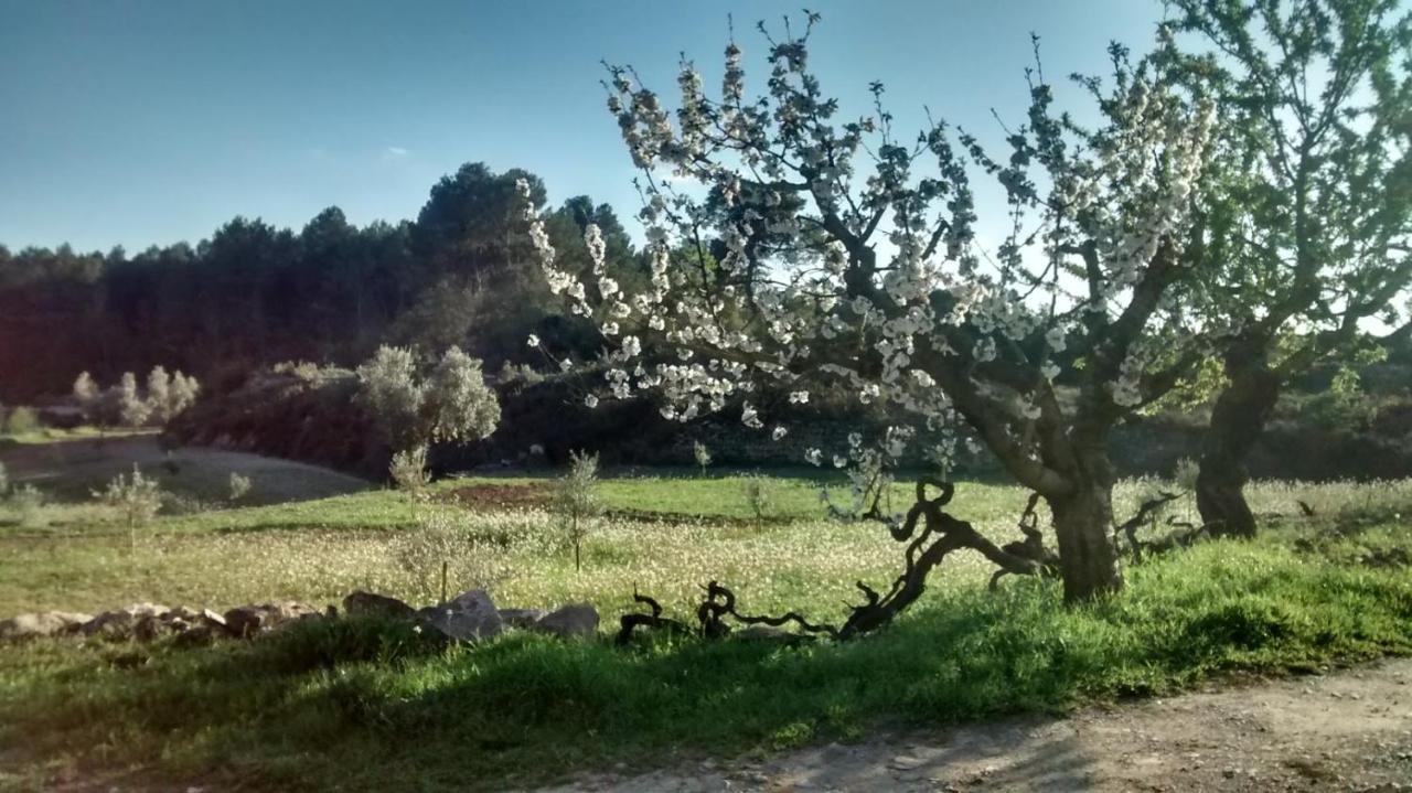 Casa Rumbet Horta de Sant Joan Luaran gambar